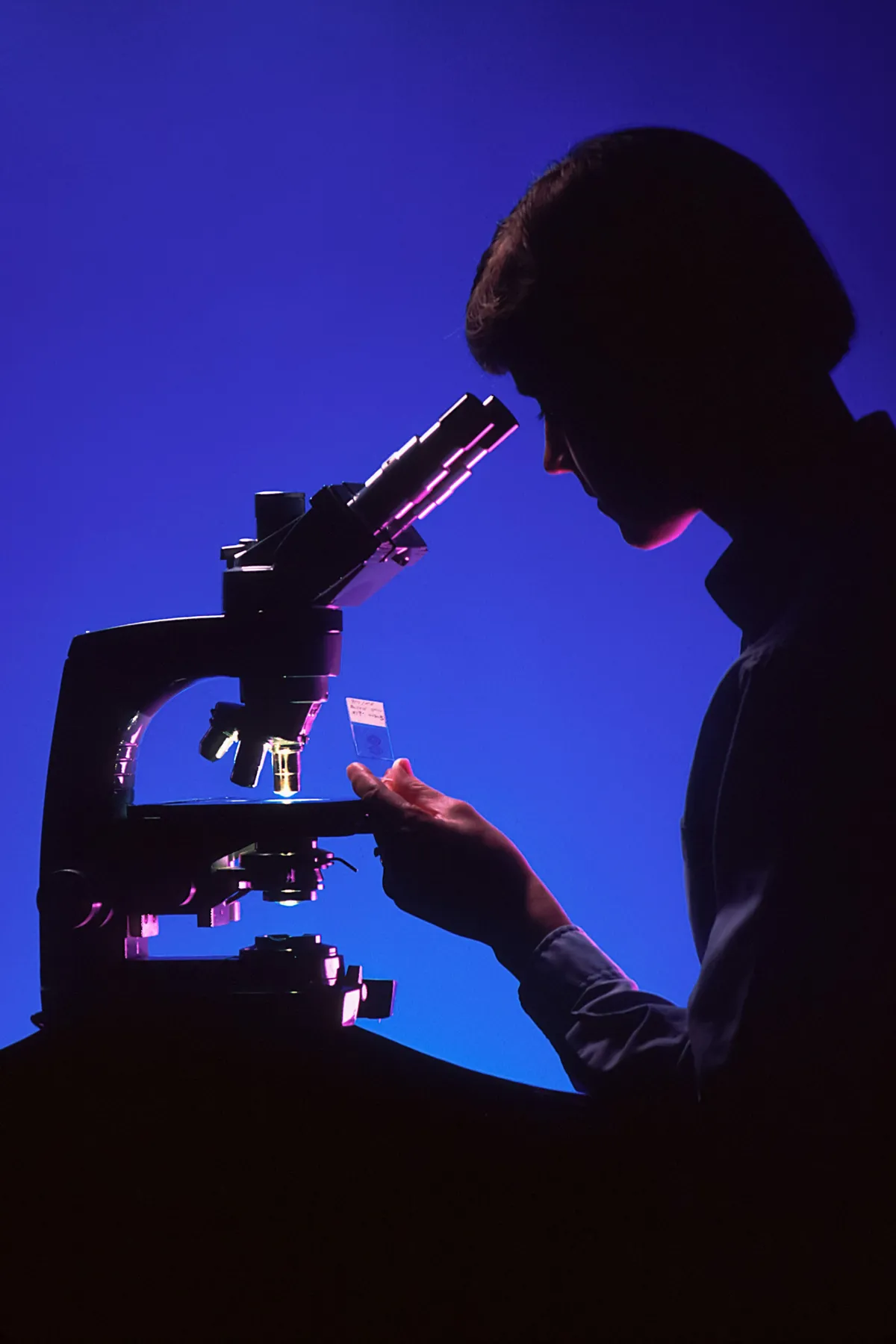 Researchers